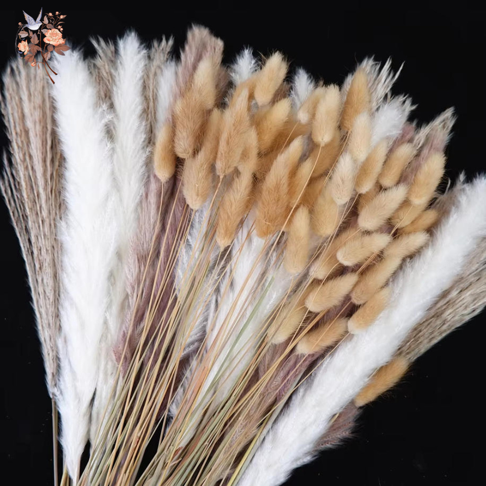 Mixed Natural Dried Flower Bou - đánh giá và giá Dried Pampas Bundle