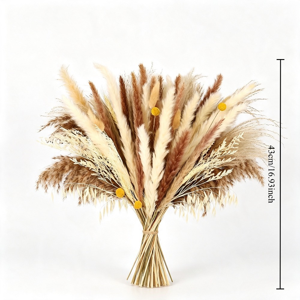 Natural Mixed Dried Flower Bou - đánh giá và giá Dried Pampas Bundle
